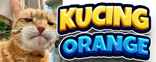 Com Login Unduh Apk Kucing Orange Apk
